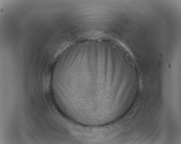 X0000062130018200512161204