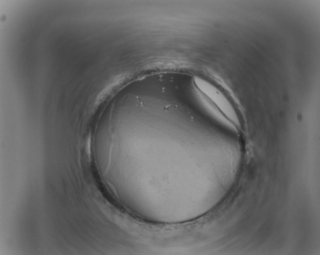 X0000062130019200512161204