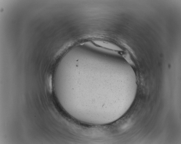 X0000062130020200512161203