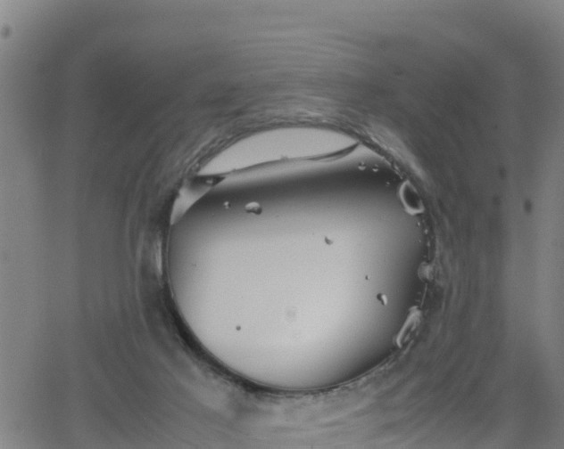 X0000062130021200512161203