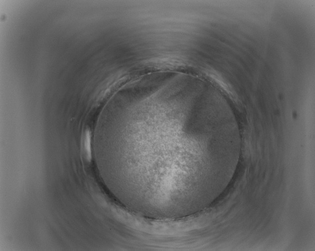 X0000062130022200512161203