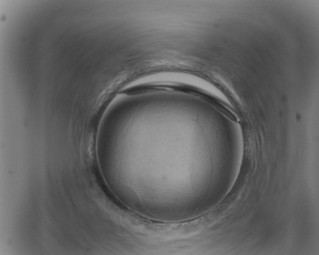 X0000062130023200512161203