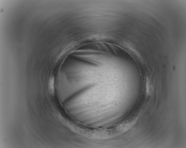 X0000062130024200512161203