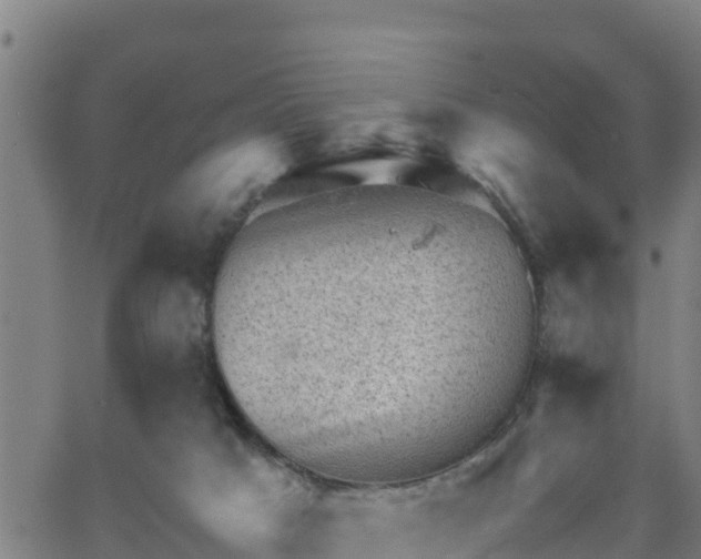 X0000062130025200512161203