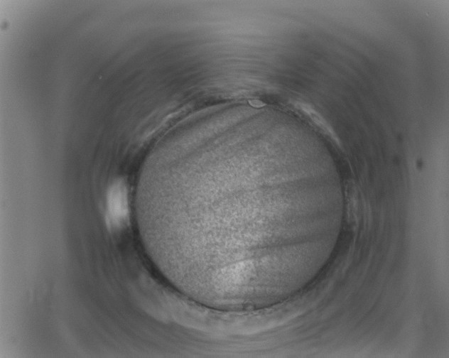 X0000062130026200512161203