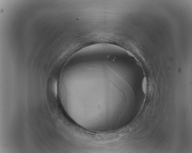 X0000062130027200512161203