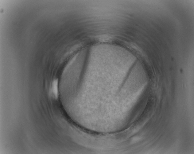 X0000062130028200512161203