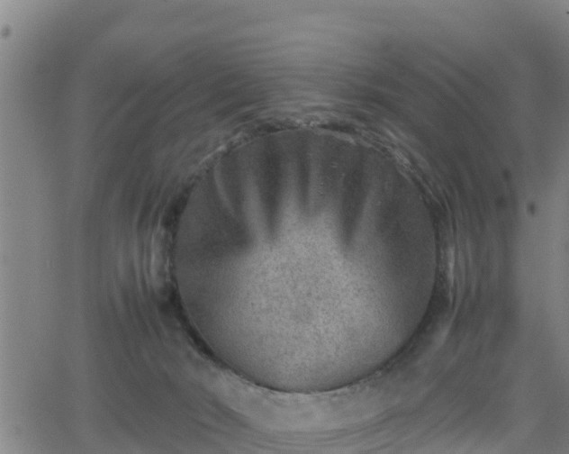 X0000062130030200512161203