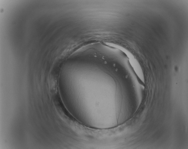 X0000062130031200512161203