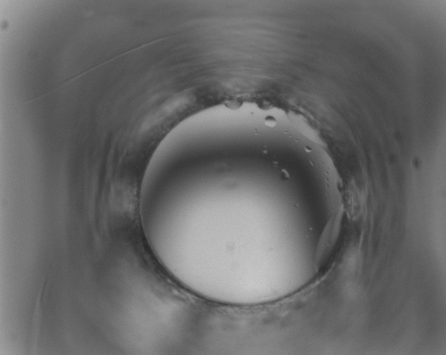 X0000062130033200512161203