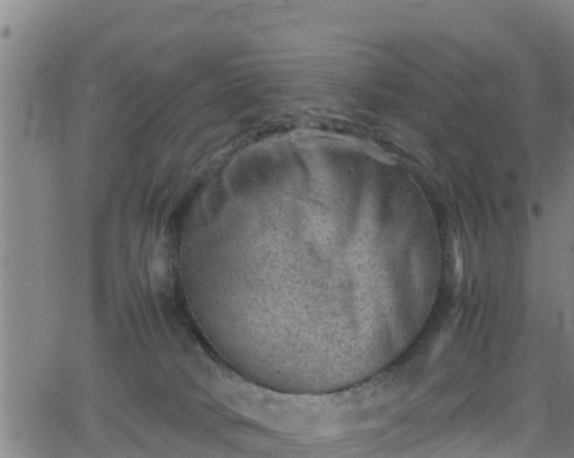 X0000062130034200512161203