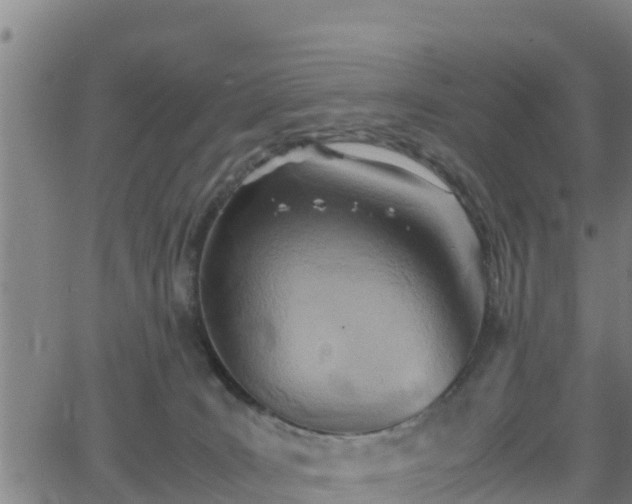 X0000062130035200512161203