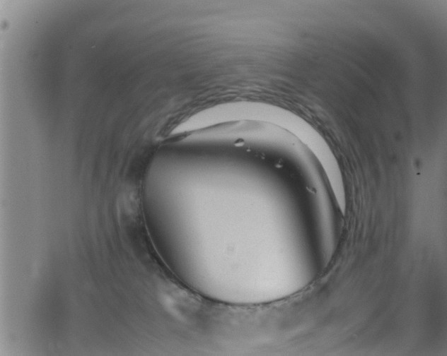 X0000062130037200512161203