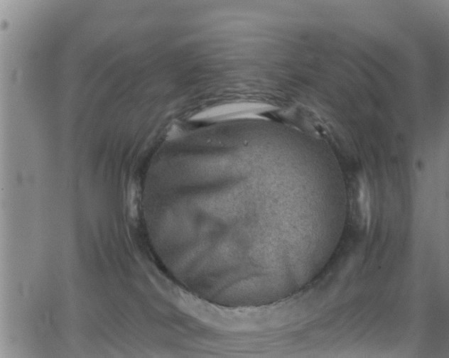 X0000062130038200512161203