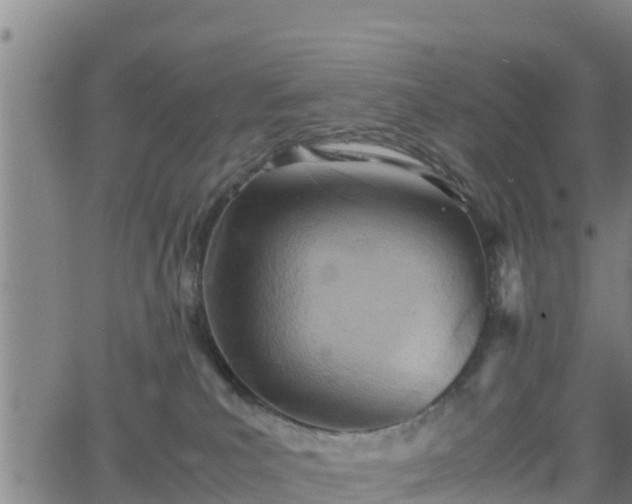 X0000062130039200512161203