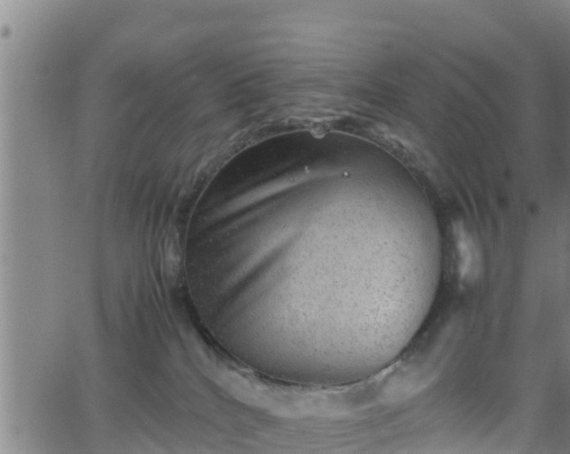 X0000062130040200512161203