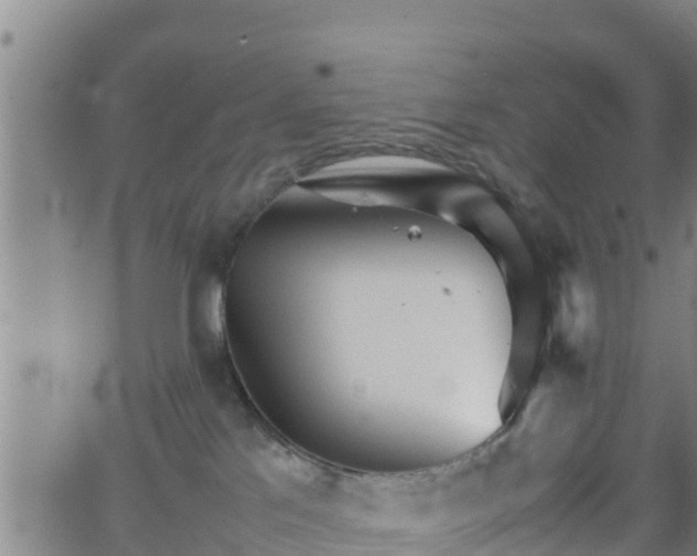 X0000062130041200512161203