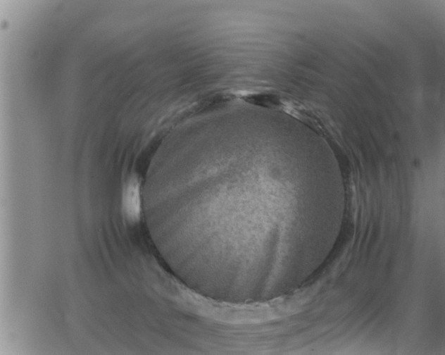 X0000062130042200512161203