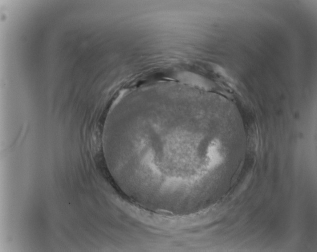 X0000062130043200512161203