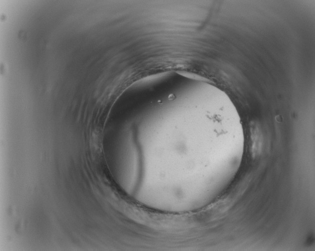 X0000062130044200512161203