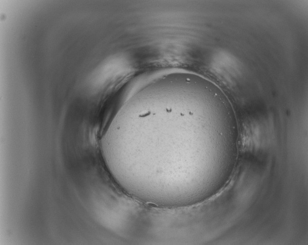 X0000062130045200512161203