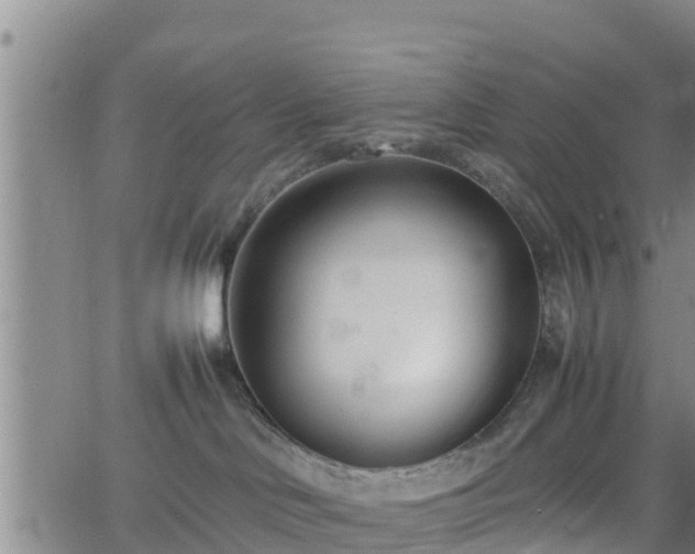 X0000062130046200512161203