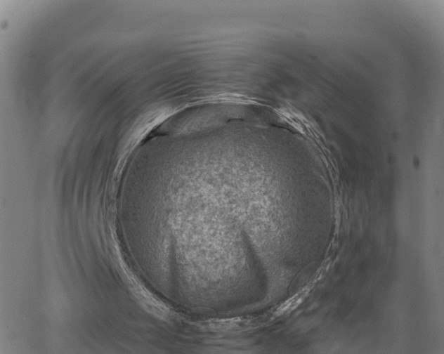 X0000062130049200512161202