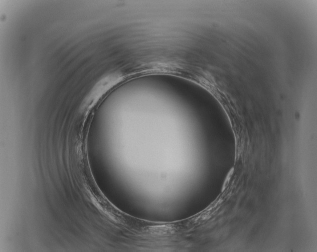 X0000062130050200512161202