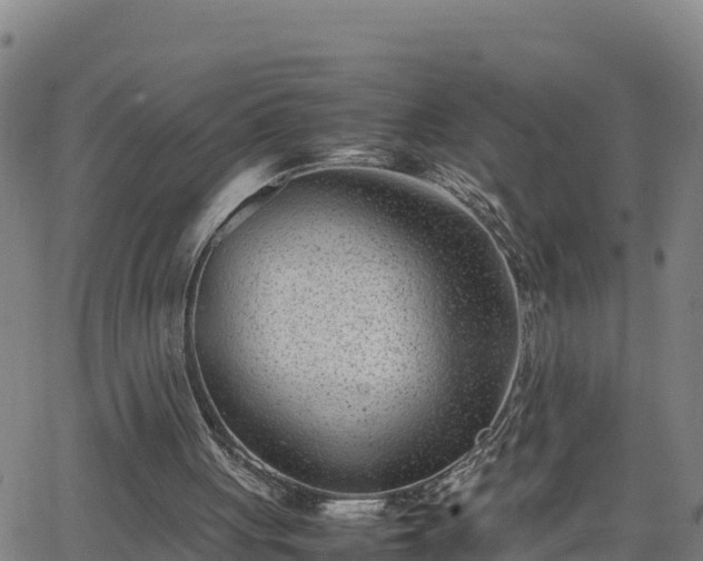 X0000062130051200512161202