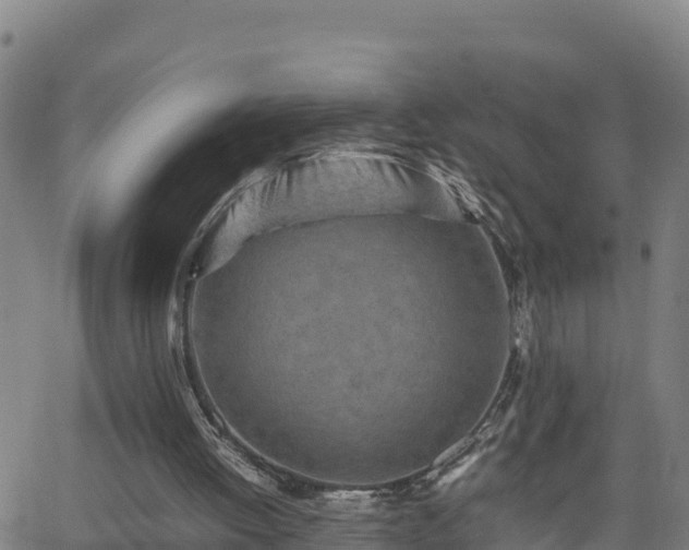 X0000062130052200512161202