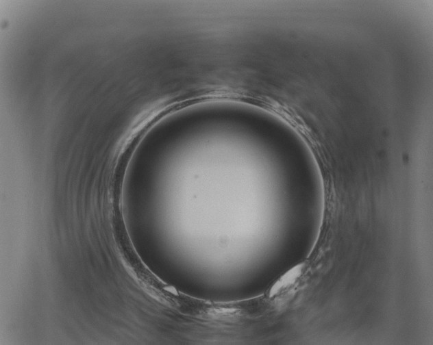 X0000062130055200512161202