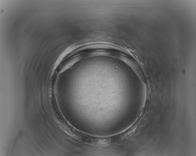 X0000062130056200512161202