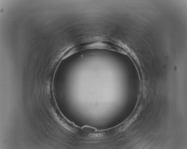 X0000062130057200512161202