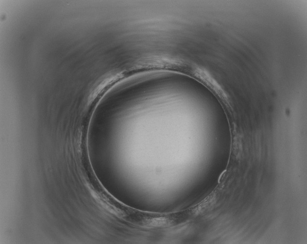 X0000062130058200512161202