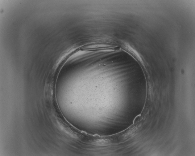 X0000062130059200512161202