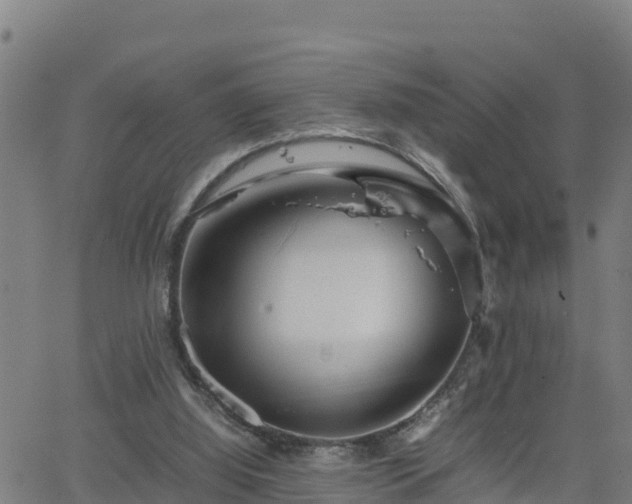 X0000062130060200512161202