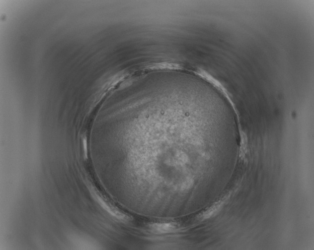 X0000062130061200512161202