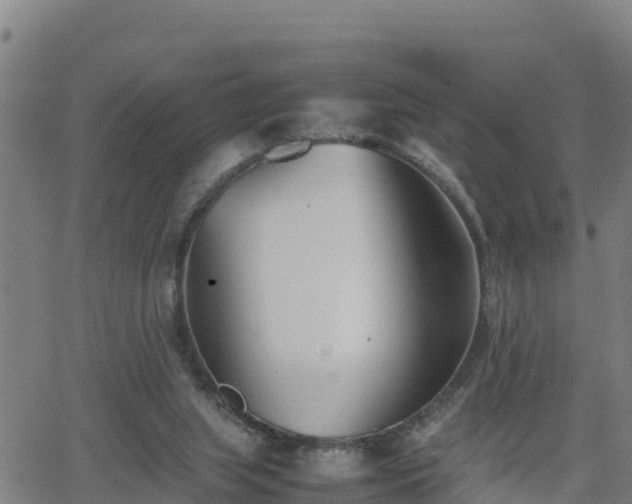 X0000062130063200512161202