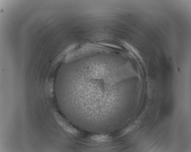 X0000062130065200512161203