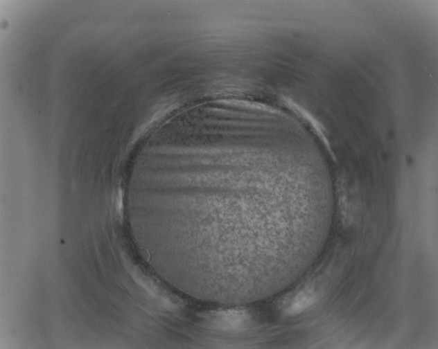 X0000062130067200512161203