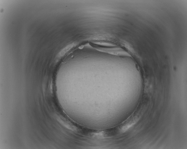 X0000062130068200512161203