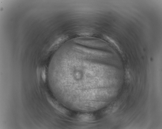 X0000062130069200512161203