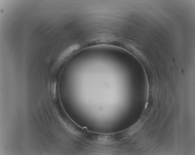 X0000062130070200512161203