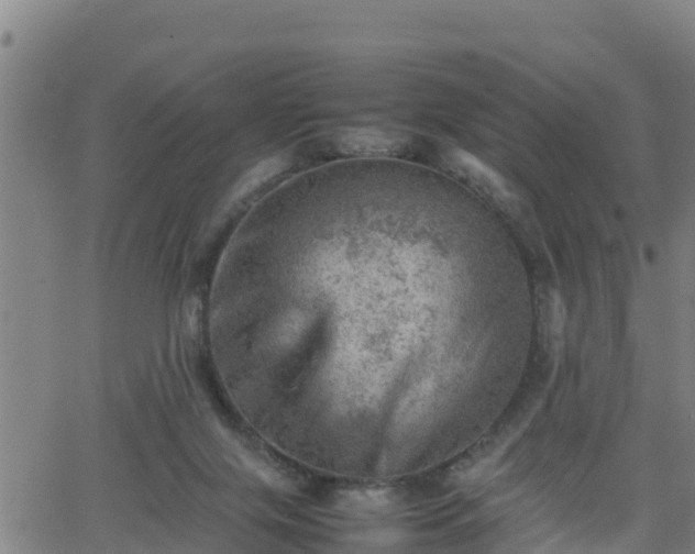 X0000062130071200512161203