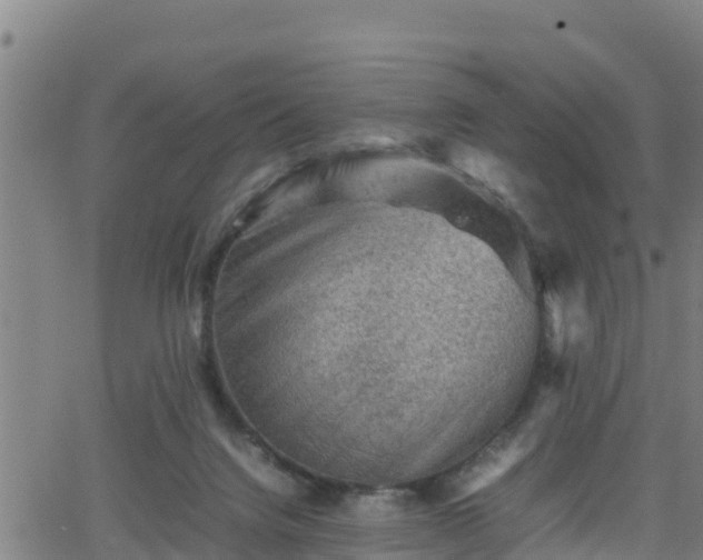 X0000062130072200512161203