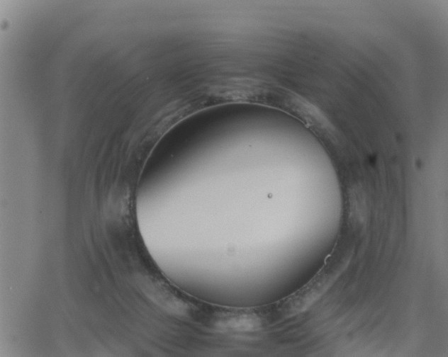 X0000062130073200512161203