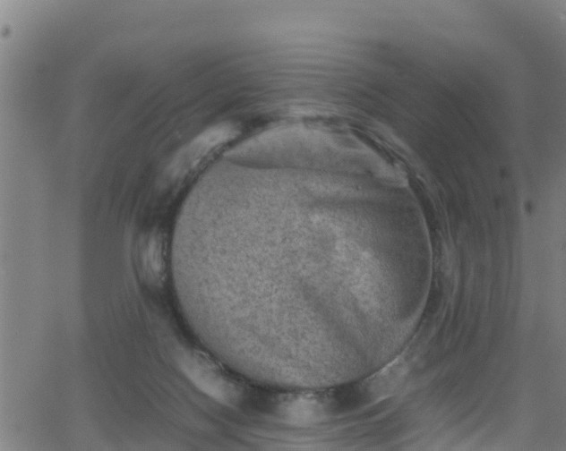 X0000062130074200512161203