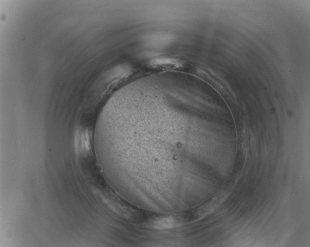 X0000062130075200512161203