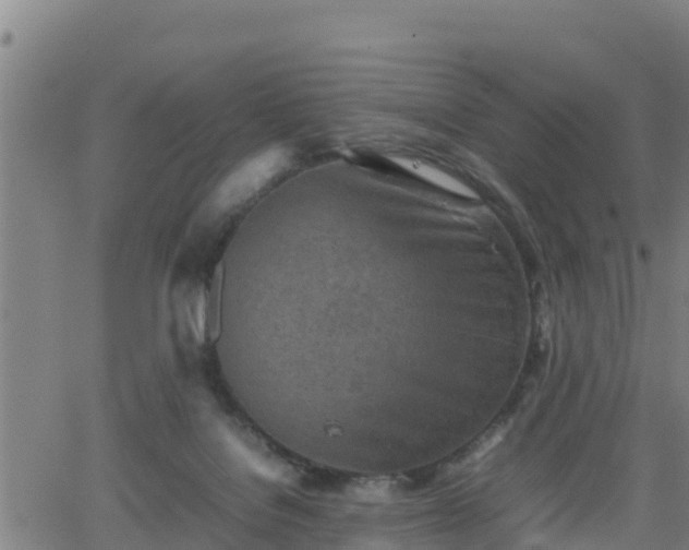 X0000062130076200512161203