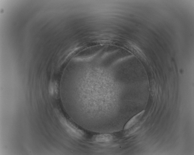 X0000062130077200512161203